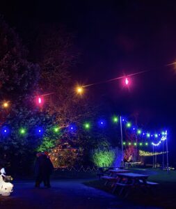 2 people walking down a dark path, illuminated with green and blue festoon lights.