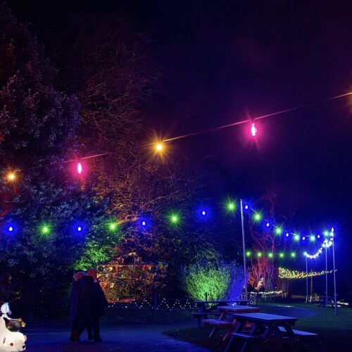 2 people walking down a dark path, illuminated with green and blue festoon lights.