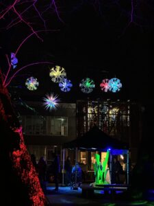Night time photo, showing glowing orbs hanging from a tree and a plankton figure, illuminated by lights. 
